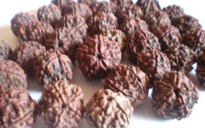 Illness, Diseases, Problems and Cures using Rudraksha Combinations
